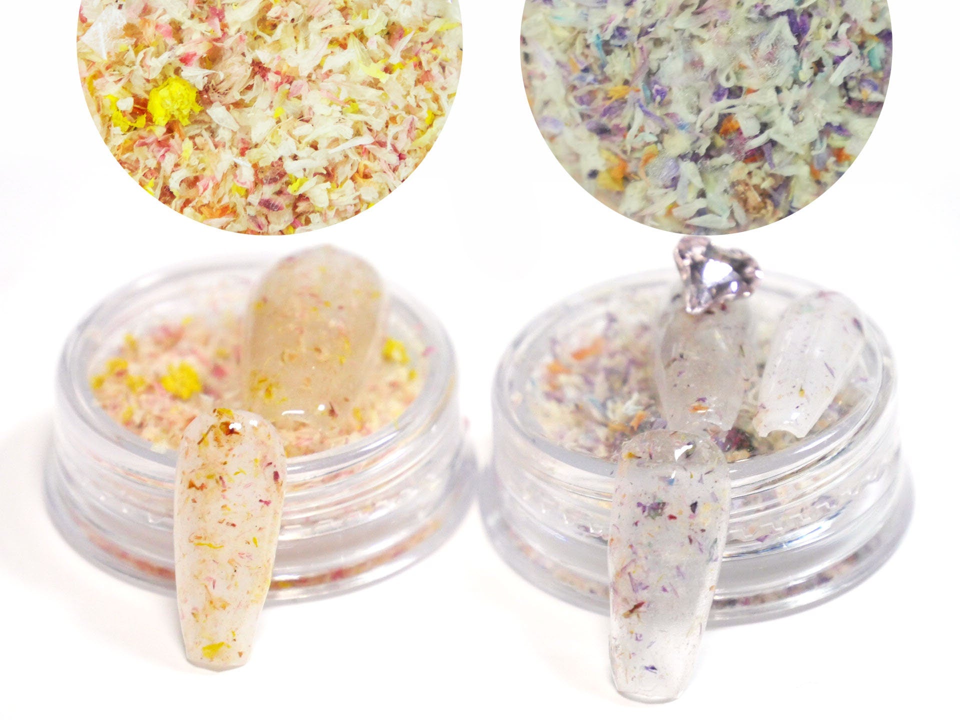 1 case Dried Pressed Real Flower Petals/ Drying Mixed Cute Retro Floral supply for Crafts Nail art UV resin supply