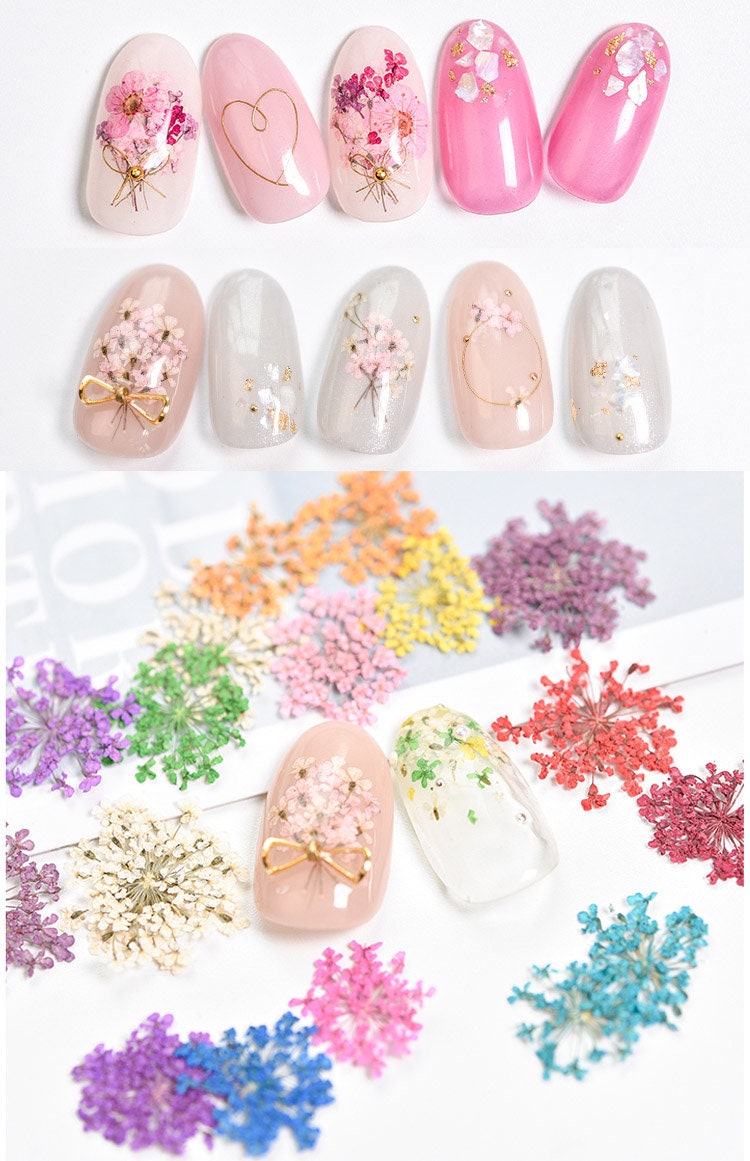 Dying Pressed Real Dry Queen Anne's Lace and daisy Dry Flower/ 1 box dried gypsophila flower supply for resining crafts nail art UV resin