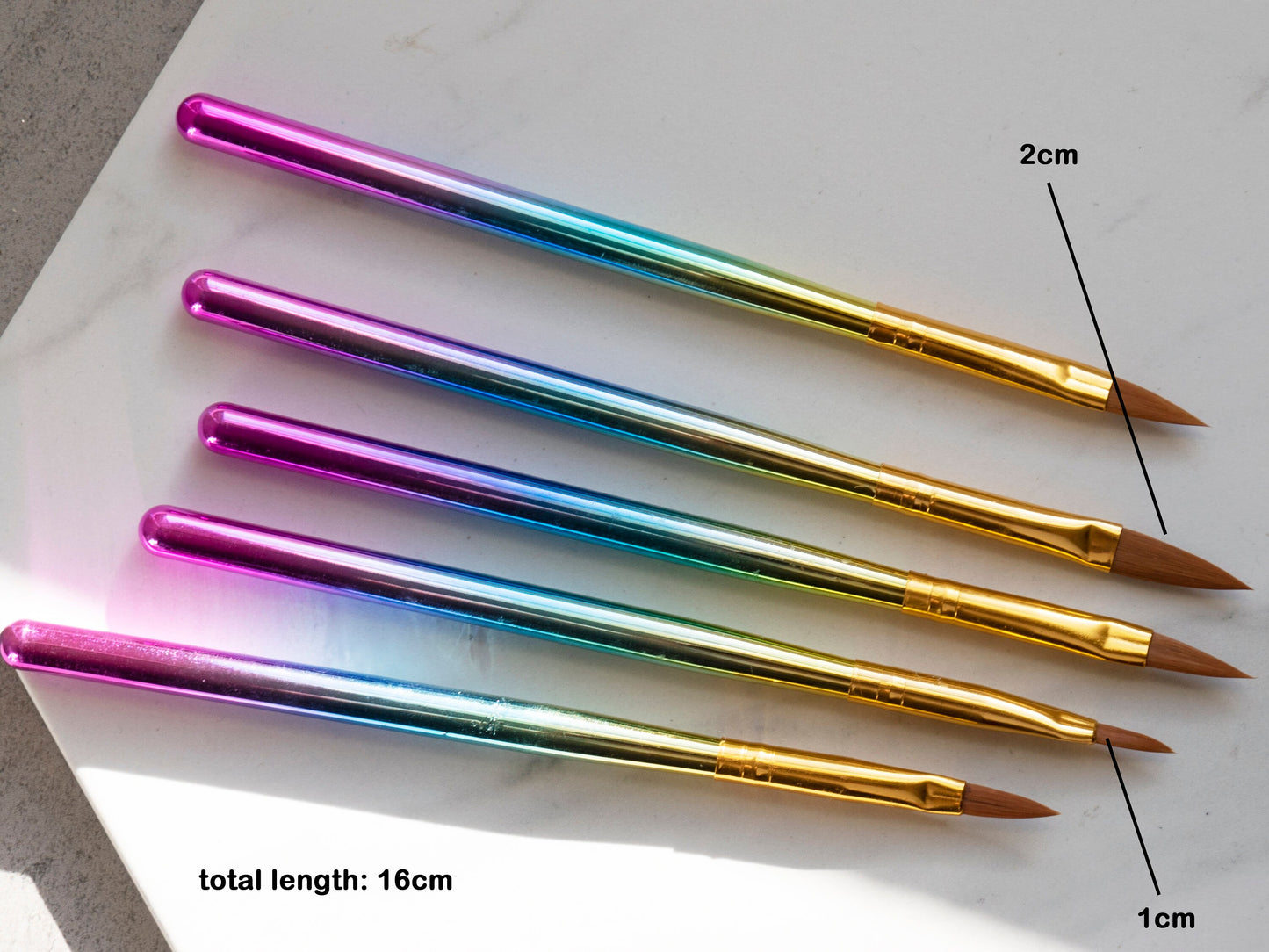 5pcs Acrylic Nail Art Brushes/ Titanium Anodize Crimped Chameleon 3D Nail art Nylon pen building gel/ Acrylic powder Sculpture brushes
