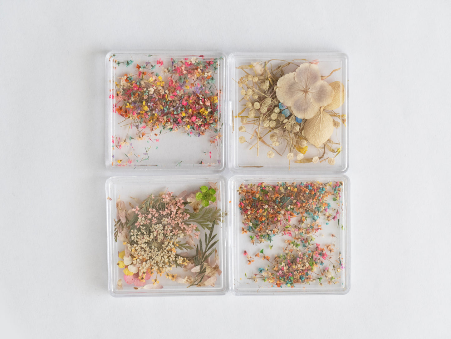 Real Dried Flower Nail Art – Colorful Mini Petals for Press On Nails