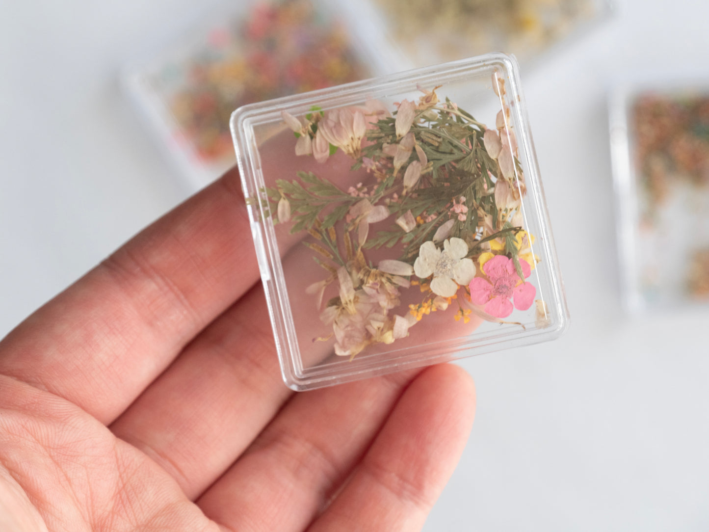 Real Dried Flower Nail Art – Colorful Mini Petals for Press On Nails