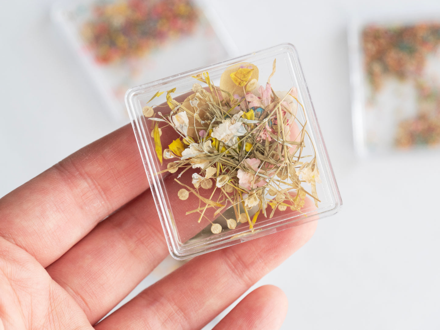 Real Dried Flower Nail Art – Colorful Mini Petals for Press On Nails