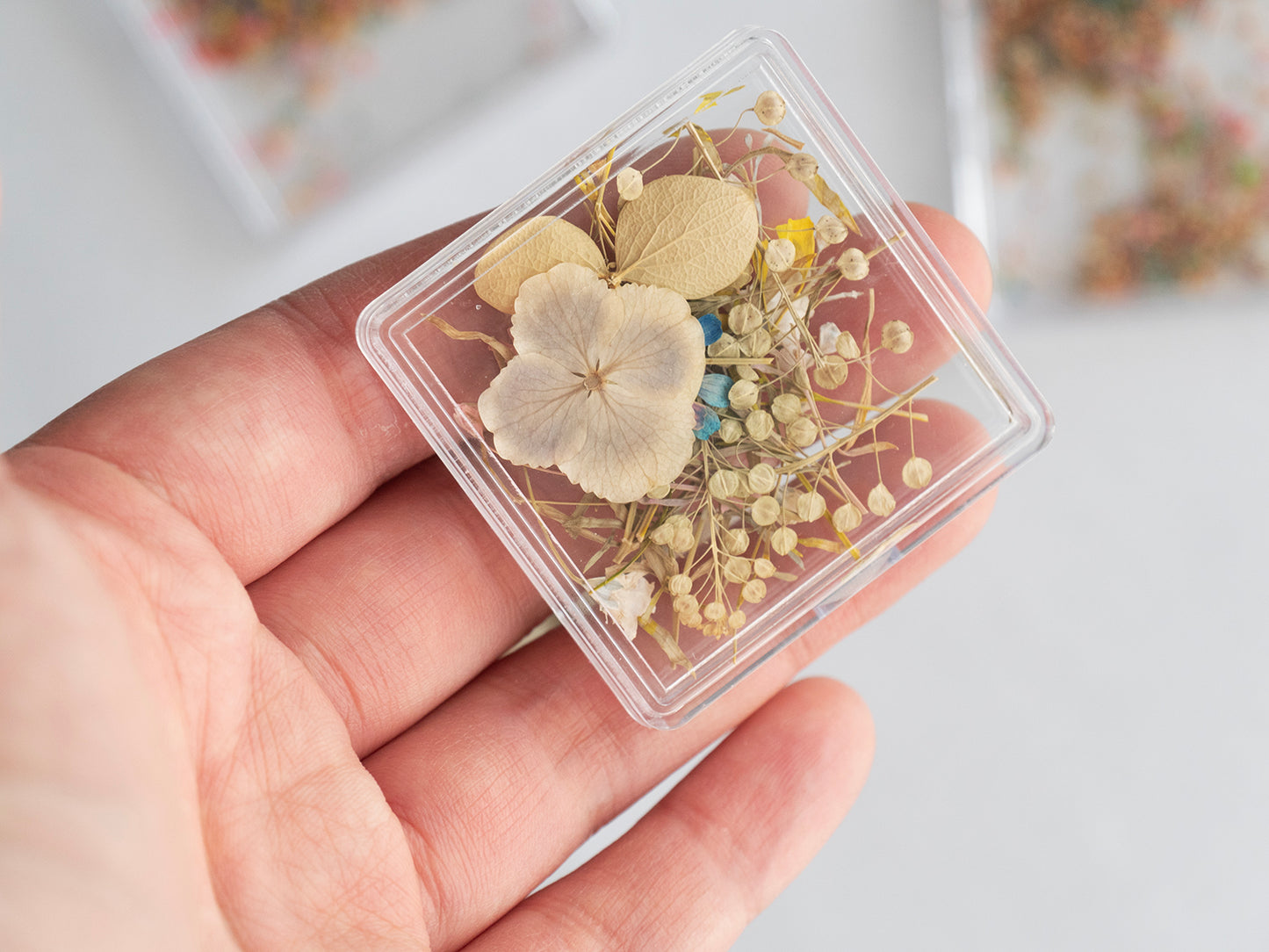 Real Dried Flower Nail Art – Colorful Mini Petals for Press On Nails