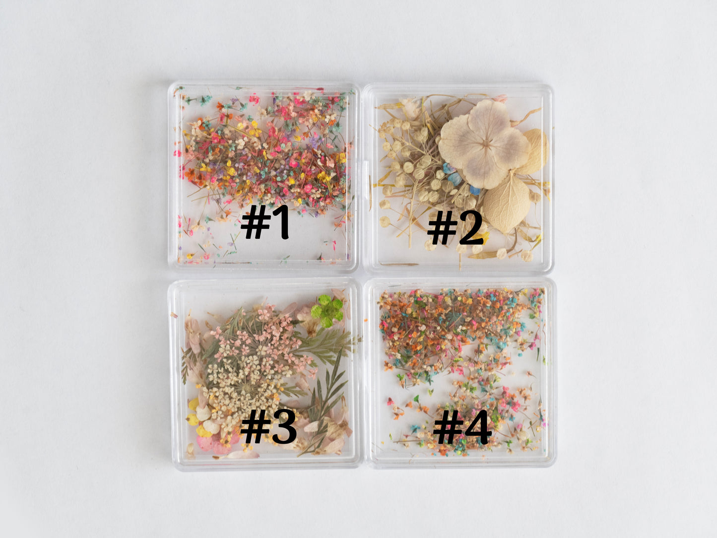Real Dried Flower Nail Art – Colorful Mini Petals for Press On Nails