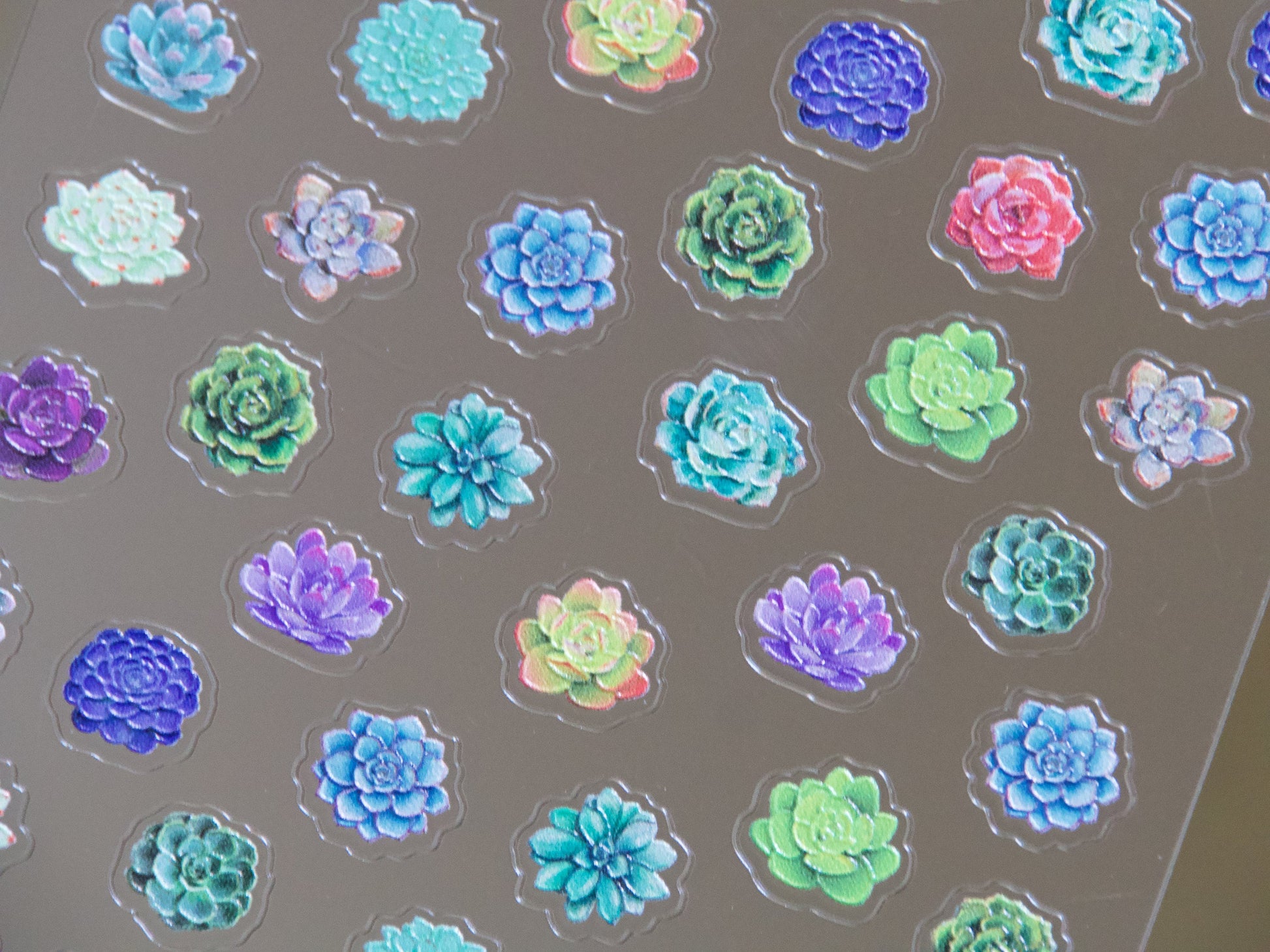 Succulent Plant Desert Cactus Nail Art Sticker/ Botany Echeveria elegans Succulents Green Plants Stickers/ Cacti Cereus Sticker for Manicure