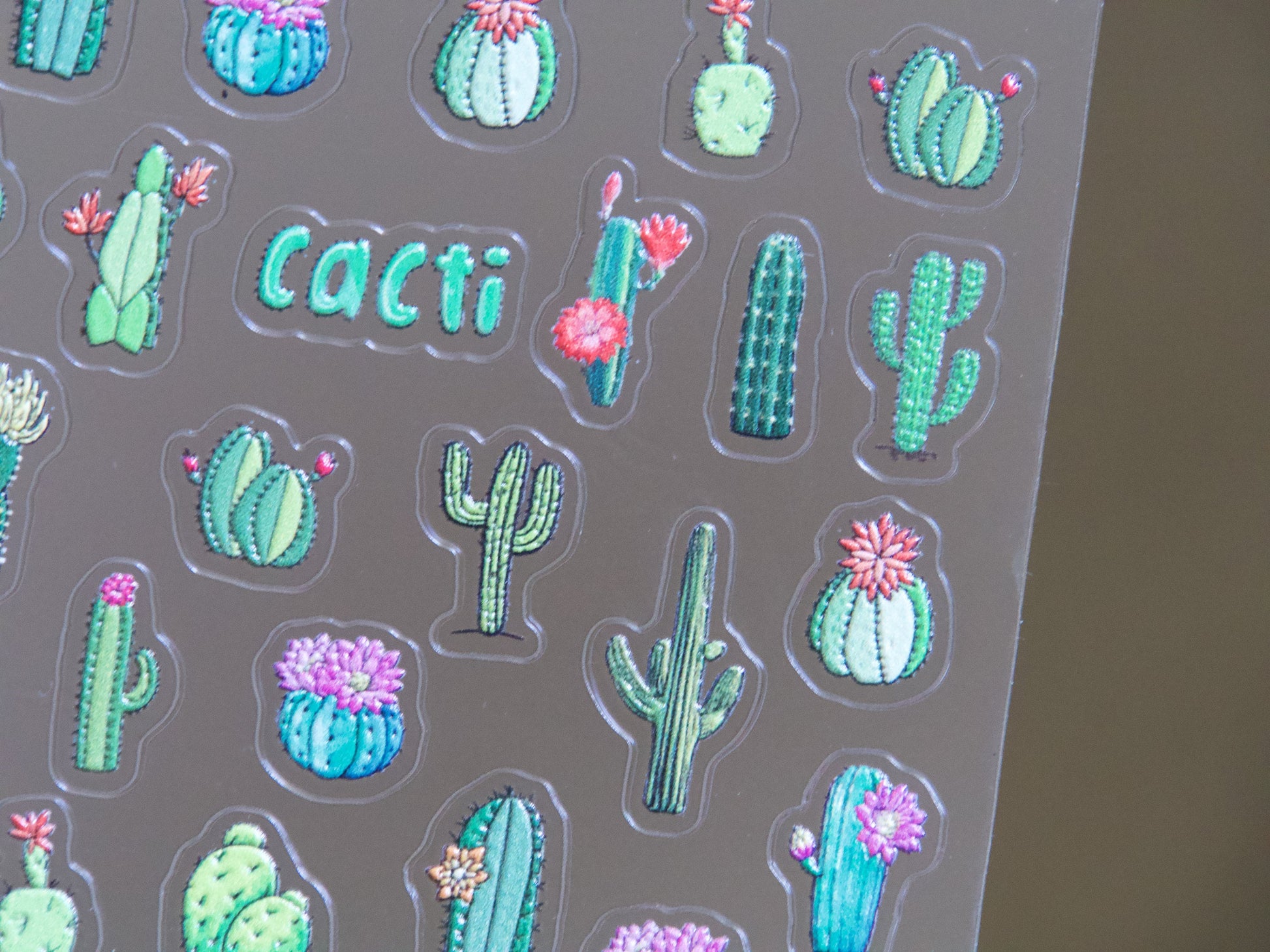 Succulent Plant Desert Cactus Nail Art Sticker/ Botany Echeveria elegans Succulents Green Plants Stickers/ Cacti Cereus Sticker for Manicure