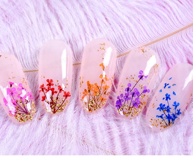 Dying Pressed Real Dry Queen Anne's Lace and daisy Dry Flower/ 1 box dried gypsophila flower supply for resining crafts nail art UV resin