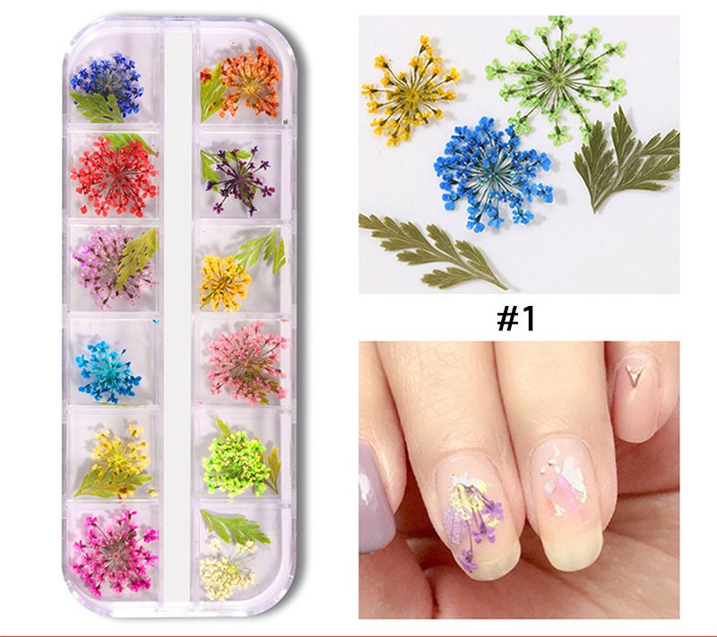 Dying Pressed Real Dry Queen Anne's Lace and daisy Dry Flower/ 1 box dried gypsophila flower supply for resining crafts nail art UV resin