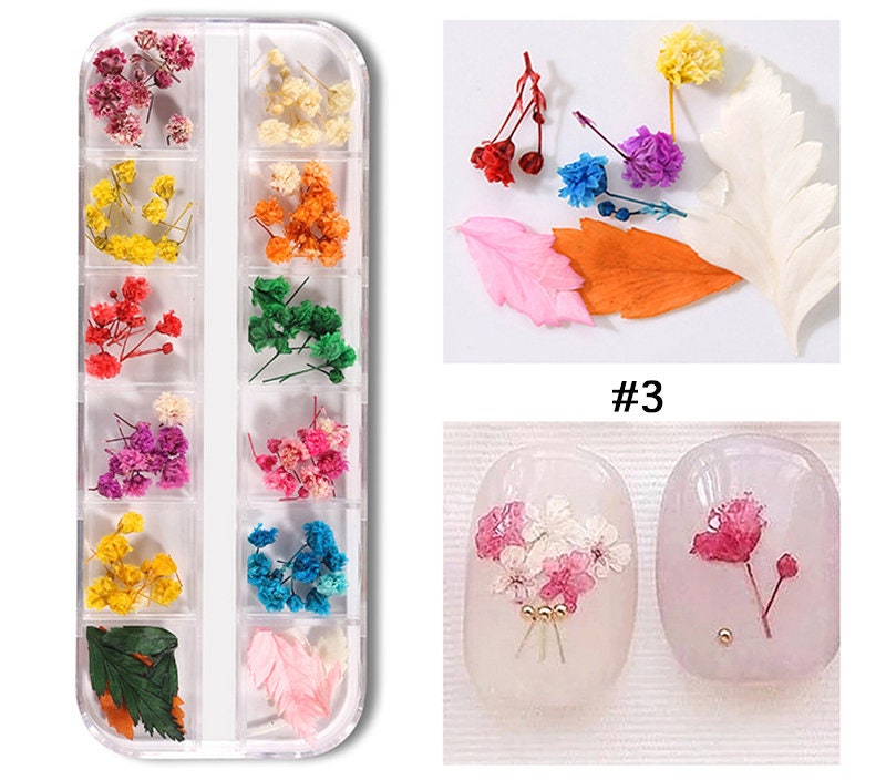 Dried Pressed Flowers Nail Art, Decoration Resin Flowers