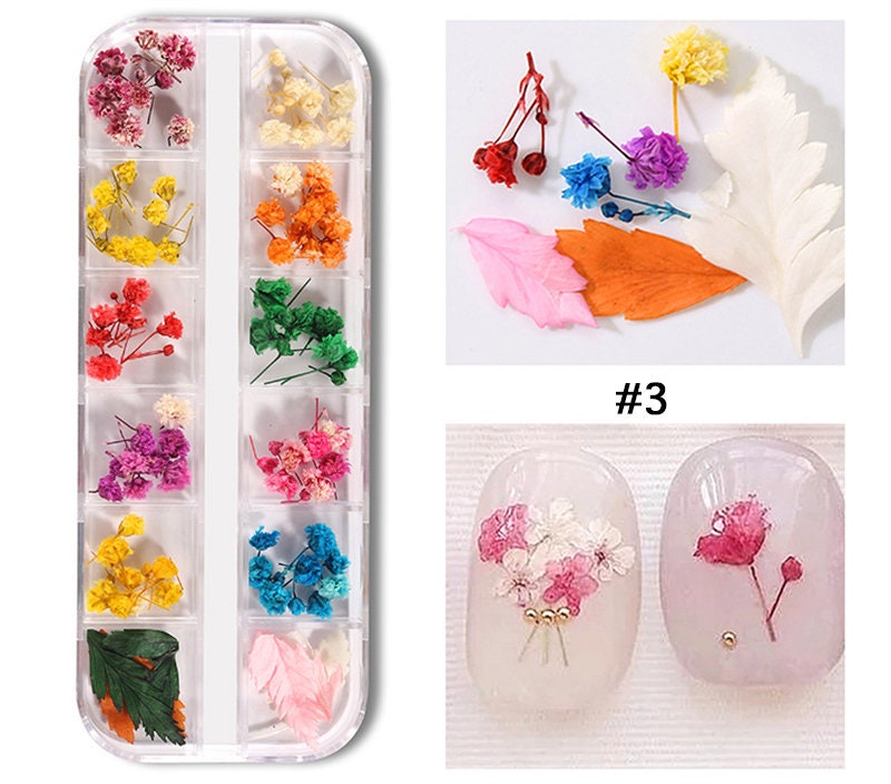 Dried Flower Box Dried Flowers Nail Art 