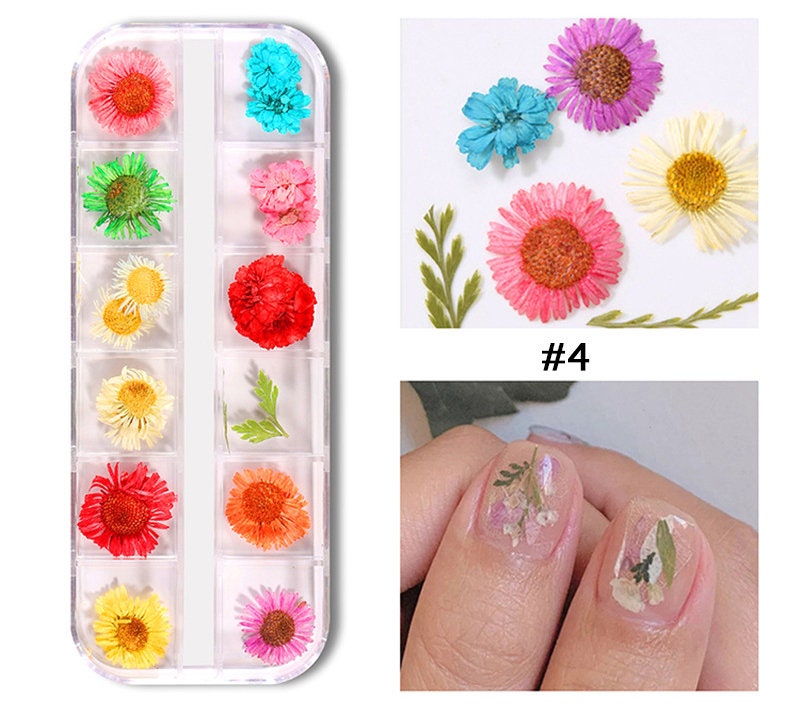 Dying Pressed Real Dry Queen Anne's Lace and daisy Dry Flower/ 1 box dried gypsophila flower supply for resining crafts nail art UV resin