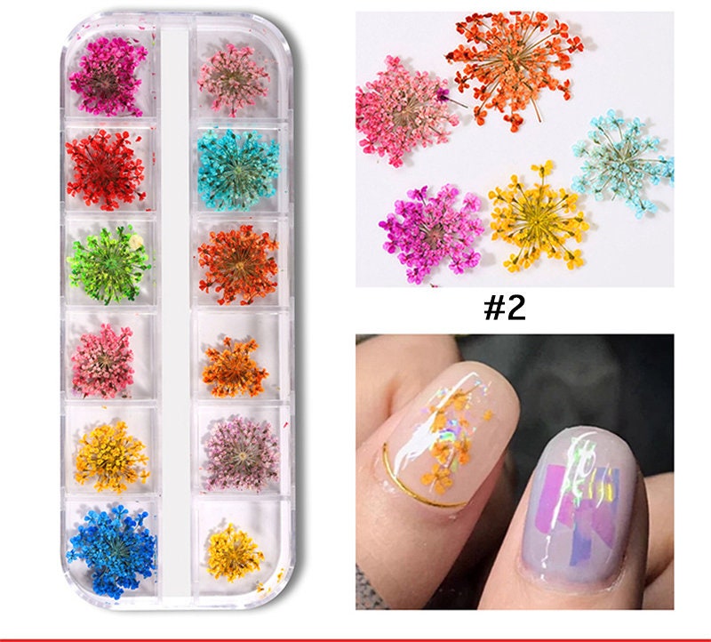 24pcs Mixed Dried Flower Nail Decorations Mixed Natural Flower 3D Material  DIY Creative Nail Art Decoration Accessories